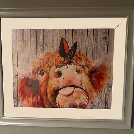 The Veterinary @ Kildare Village Exteriör bild
